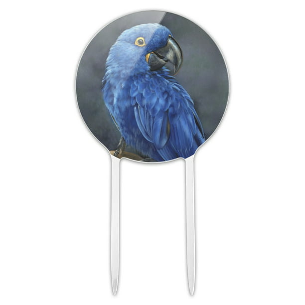 parrot macaw colourful custom bird Personalised Edible Cake Topper Wafer Icing 